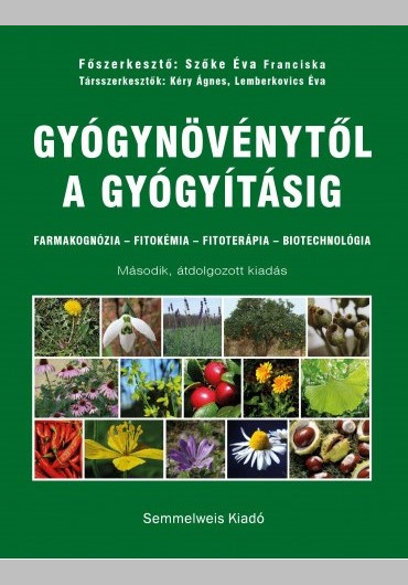 Gyógynövénytől a gyógyításig